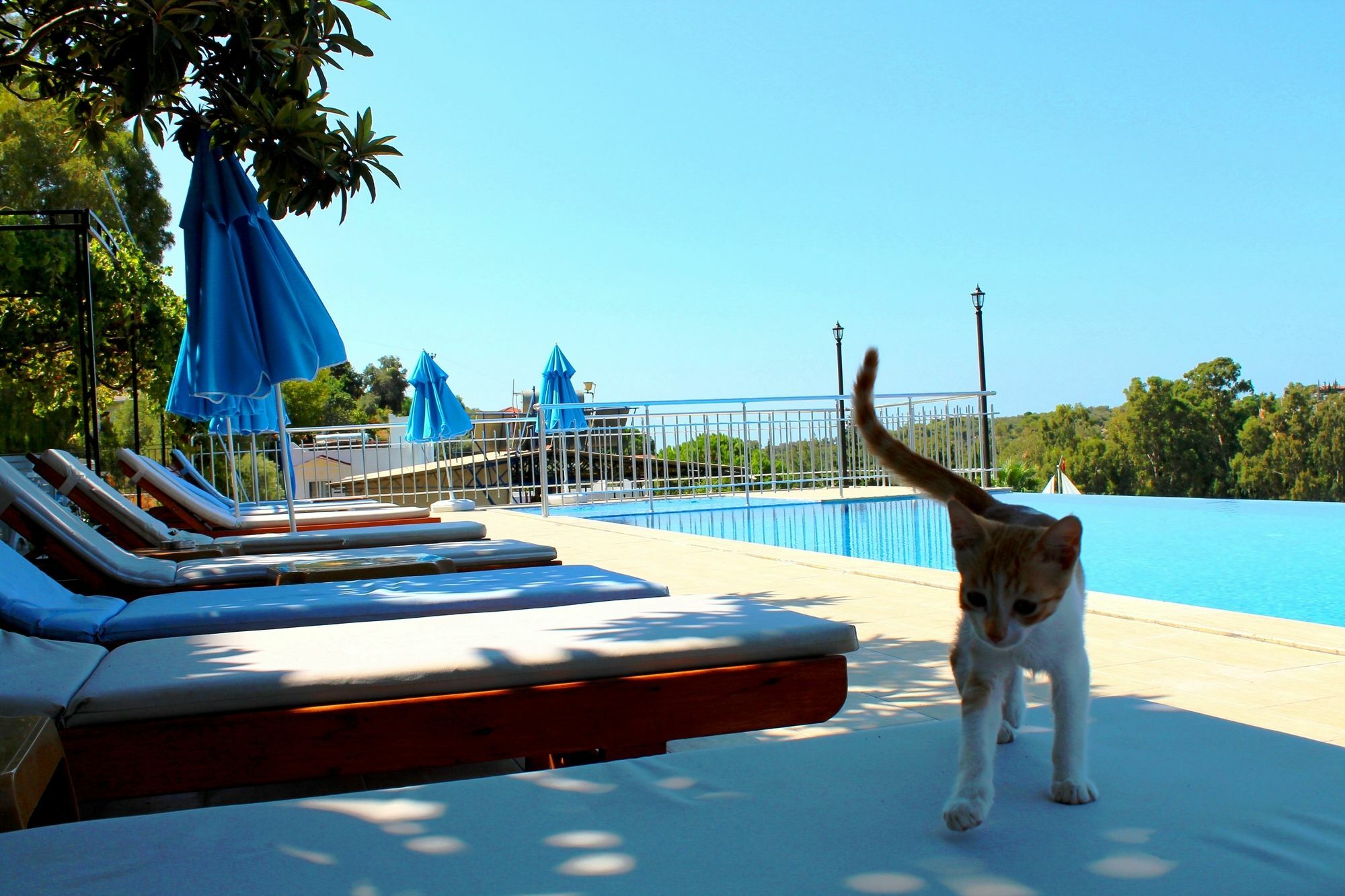 Hotel Patara Sun Club Extérieur photo